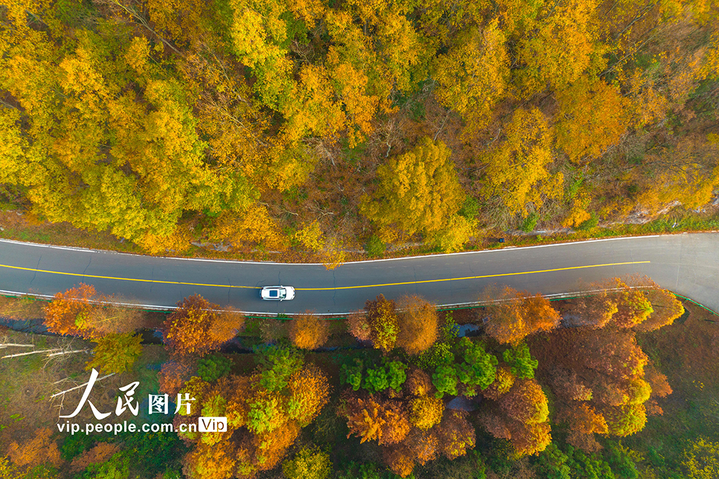 江苏南京：无想山风景区冬景如画