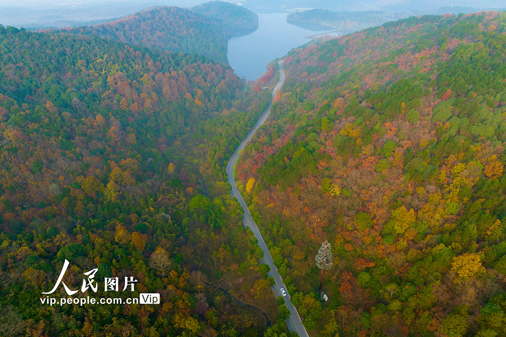 江苏南京：无想山风景区冬景如画【2】