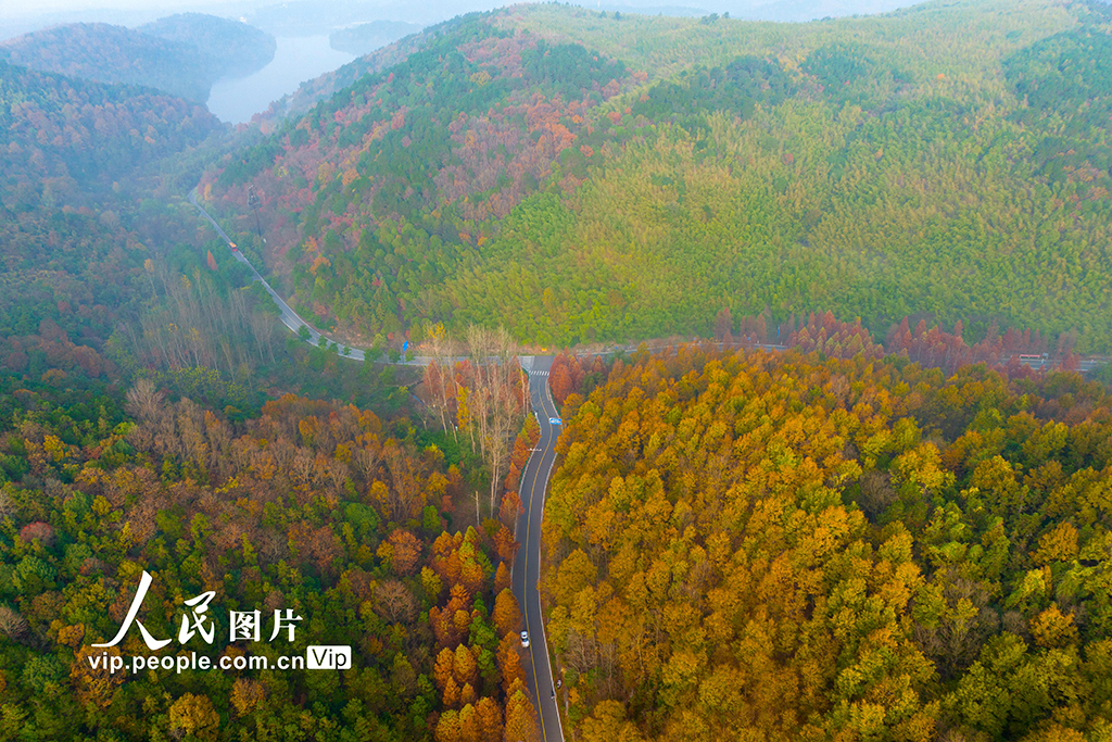 江苏南京：无想山风景区冬景如画【3】