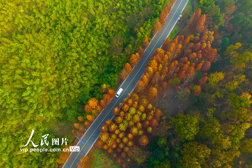 江苏南京：无想山风景区冬景如画【4】