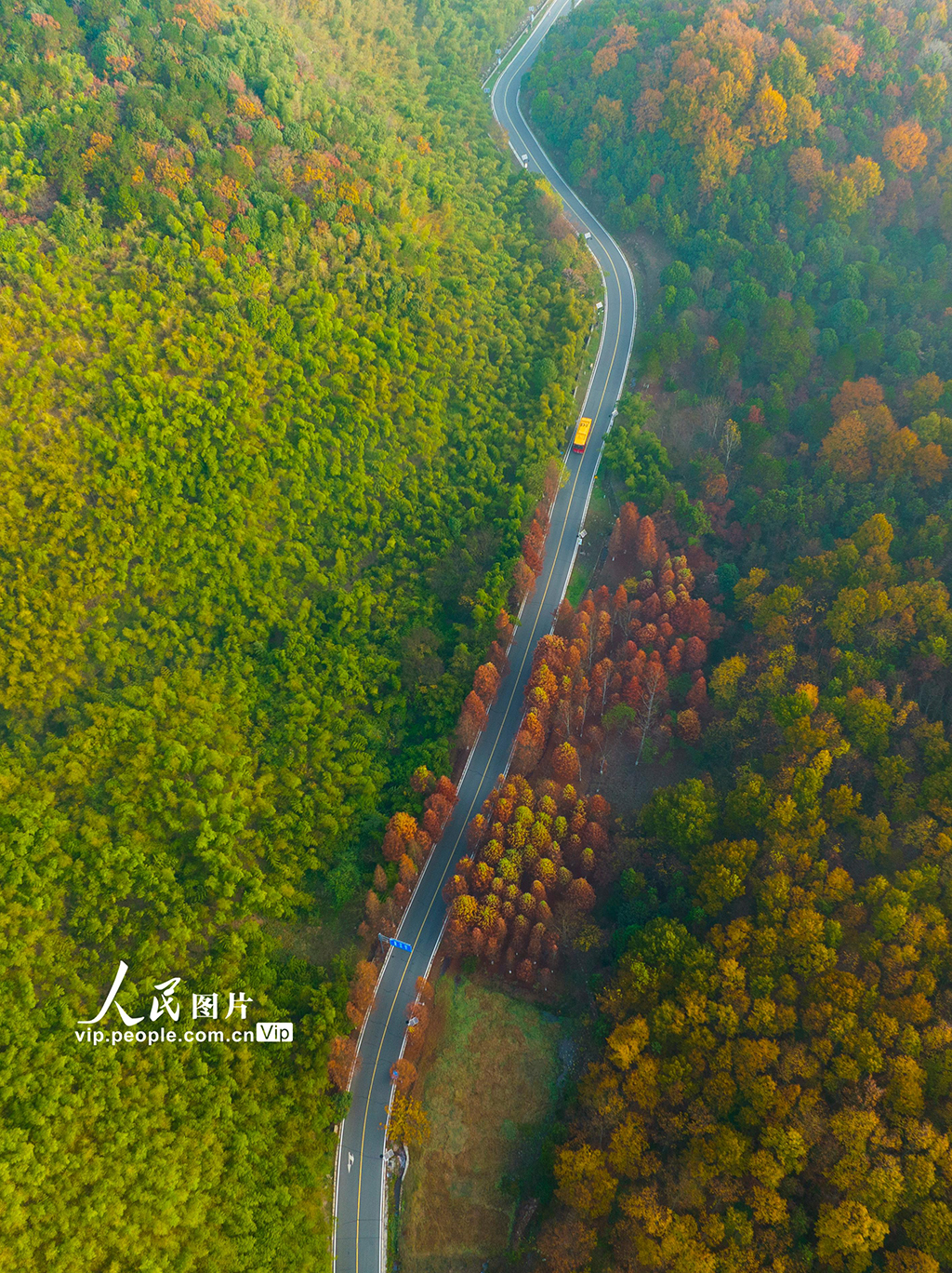 江苏南京：无想山风景区冬景如画【6】