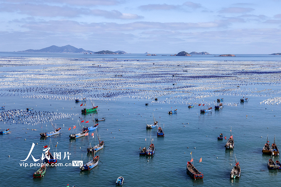 浙江舟山：蓝海牧场耕渔忙