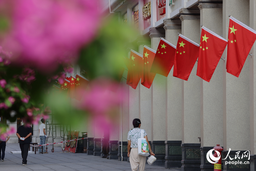 艳丽的厦门“市花”三角梅与红旗相映。人民网记者 陈博摄