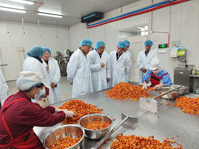 专家对恒佳果业进行技术指导。于舰勐摄