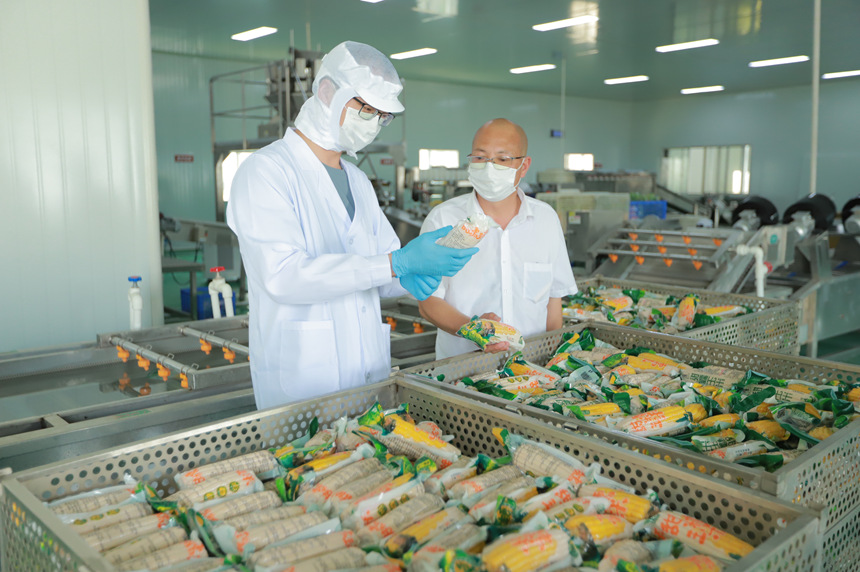 省农业科学院旱粮研究所一名专家在帮助企业解决鲜食玉米加工胀袋问题。王东摄