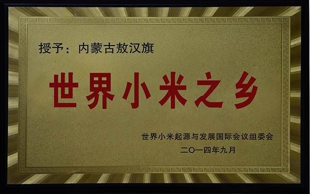 2014年敖汉旗被授予“世界小米之乡”称号。陈冬冬摄