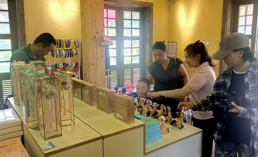 节假日期间矮马王国景区的矮马文创店内涌现大量游客。黄琪摄