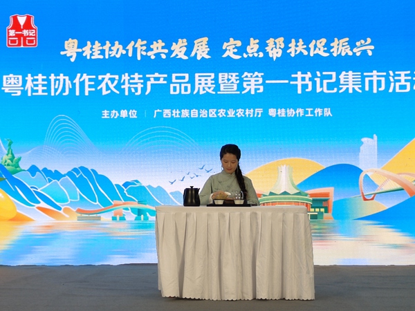 驻村工作队员张慧凤茶艺表演