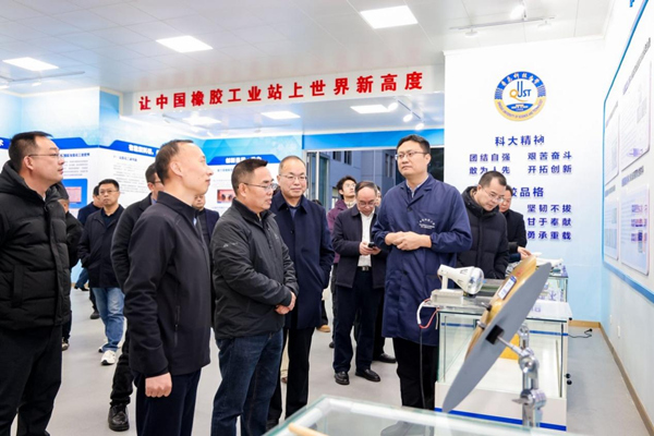 重庆代表团实地调研。主办方供图