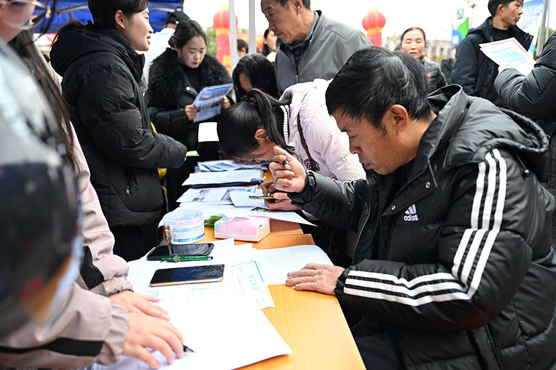 招聘会现场登记信息。